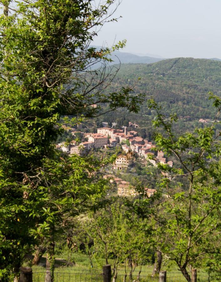 Le Dame Del Borgo Apartamento Sassetta Exterior foto